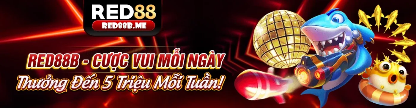 Hình ảnh chính giới thiệu 58vin, nền tảng giải trí trực tuyến hàng đầu tại Việt Nam